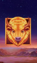 Buffalo's Sun 2